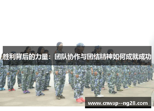 胜利背后的力量：团队协作与团结精神如何成就成功