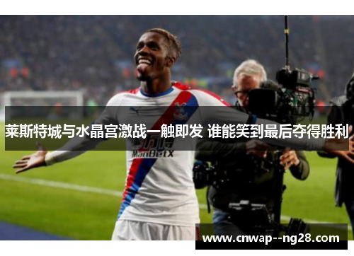 莱斯特城与水晶宫激战一触即发 谁能笑到最后夺得胜利 莱斯特城与水晶宫激战一触即发 谁能笑到最后夺得胜利