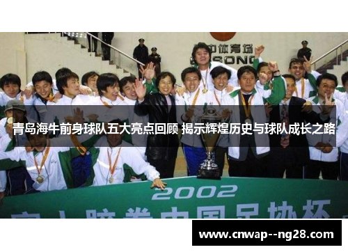 青岛海牛前身球队五大亮点回顾 揭示辉煌历史与球队成长之路 青岛海牛前身球队五大亮点回顾 揭示辉煌历史与球队成长之路