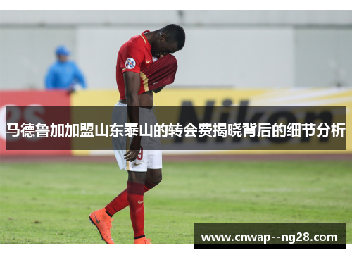 马德鲁加加盟山东泰山的转会费揭晓背后的细节分析