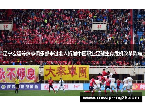 辽宁宏运等多家俱乐部未过准入折射中国职业足球生存危机改革阵痛